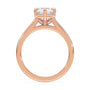 lm-preview|romy-peek-a-boo-halo-cathedral-compass-prong-solitaire-setting|rose|radiant