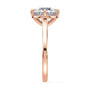 lm-preview|romy-peek-a-boo-halo-cathedral-compass-prong-solitaire-setting|rose|round