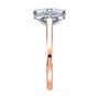 lm-preview|romy-peek-a-boo-halo-cathedral-compass-prong-solitaire-setting|tt-rose|oval