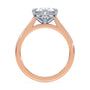 lm-preview|romy-peek-a-boo-halo-cathedral-compass-prong-solitaire-setting|tt-rose|oval