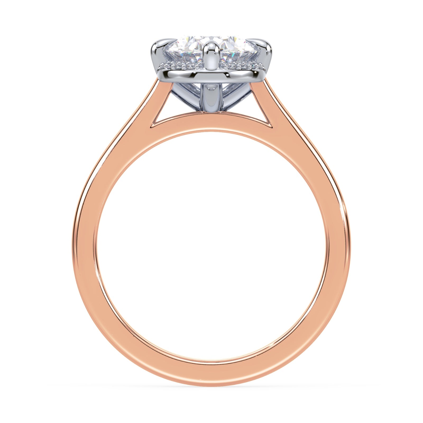 lm-preview|romy-peek-a-boo-halo-cathedral-compass-prong-solitaire-setting|tt-rose|oval
