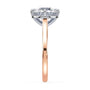 lm-preview|romy-peek-a-boo-halo-cathedral-compass-prong-solitaire-setting|tt-rose|round