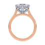 lm-preview|romy-peek-a-boo-halo-cathedral-compass-prong-solitaire-setting|tt-rose|round