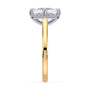 lm-preview|romy-peek-a-boo-halo-cathedral-compass-prong-solitaire-setting|tt-yellow|elongated-cushion