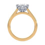 lm-preview|romy-peek-a-boo-halo-cathedral-compass-prong-solitaire-setting|tt-yellow|oval