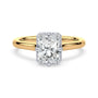 lm-preview|romy-peek-a-boo-halo-cathedral-compass-prong-solitaire-setting|tt-yellow|radiant