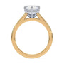 lm-preview|romy-peek-a-boo-halo-cathedral-compass-prong-solitaire-setting|tt-yellow|radiant