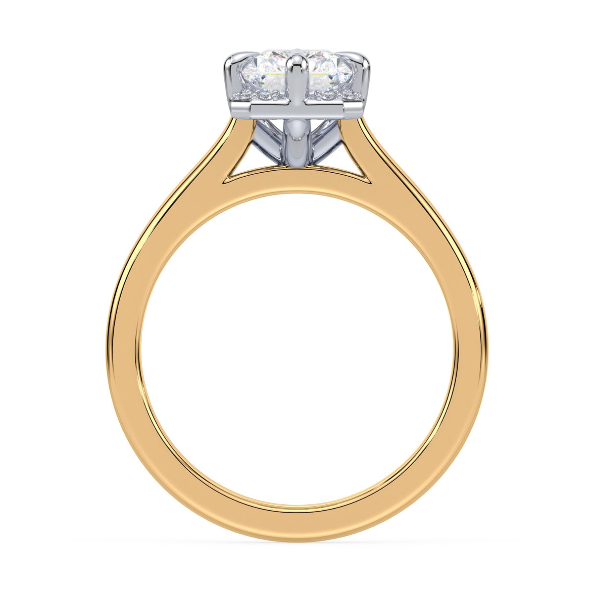 lm-preview|romy-peek-a-boo-halo-cathedral-compass-prong-solitaire-setting|tt-yellow|radiant