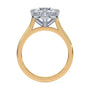 lm-preview|romy-peek-a-boo-halo-cathedral-compass-prong-solitaire-setting|tt-yellow|round