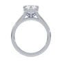 lm-preview|romy-peek-a-boo-halo-cathedral-compass-prong-solitaire-setting|white|radiant