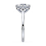 lm-preview|romy-peek-a-boo-halo-cathedral-compass-prong-solitaire-setting|white|round