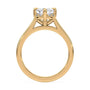 lm-preview|romy-peek-a-boo-halo-cathedral-compass-prong-solitaire-setting|yellow|elongated-cushion