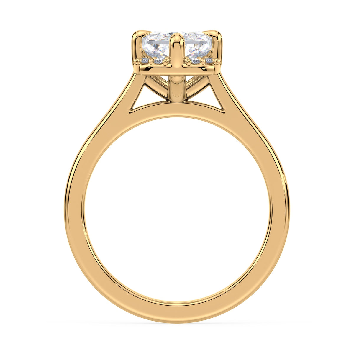 lm-preview|romy-peek-a-boo-halo-cathedral-compass-prong-solitaire-setting|yellow|elongated-cushion