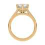 lm-preview|romy-peek-a-boo-halo-cathedral-compass-prong-solitaire-setting|yellow|emerald