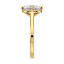 lm-preview|romy-peek-a-boo-halo-cathedral-compass-prong-solitaire-setting|yellow|oval