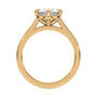 lm-preview|romy-peek-a-boo-halo-cathedral-compass-prong-solitaire-setting|yellow|oval