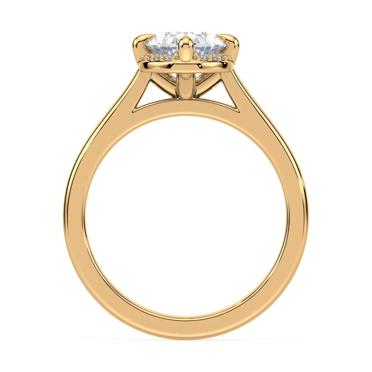 lm-preview|romy-peek-a-boo-halo-cathedral-compass-prong-solitaire-setting|yellow|oval