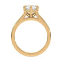 lm-preview|romy-peek-a-boo-halo-cathedral-compass-prong-solitaire-setting|yellow|radiant