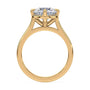 lm-preview|romy-peek-a-boo-halo-cathedral-compass-prong-solitaire-setting|yellow|round