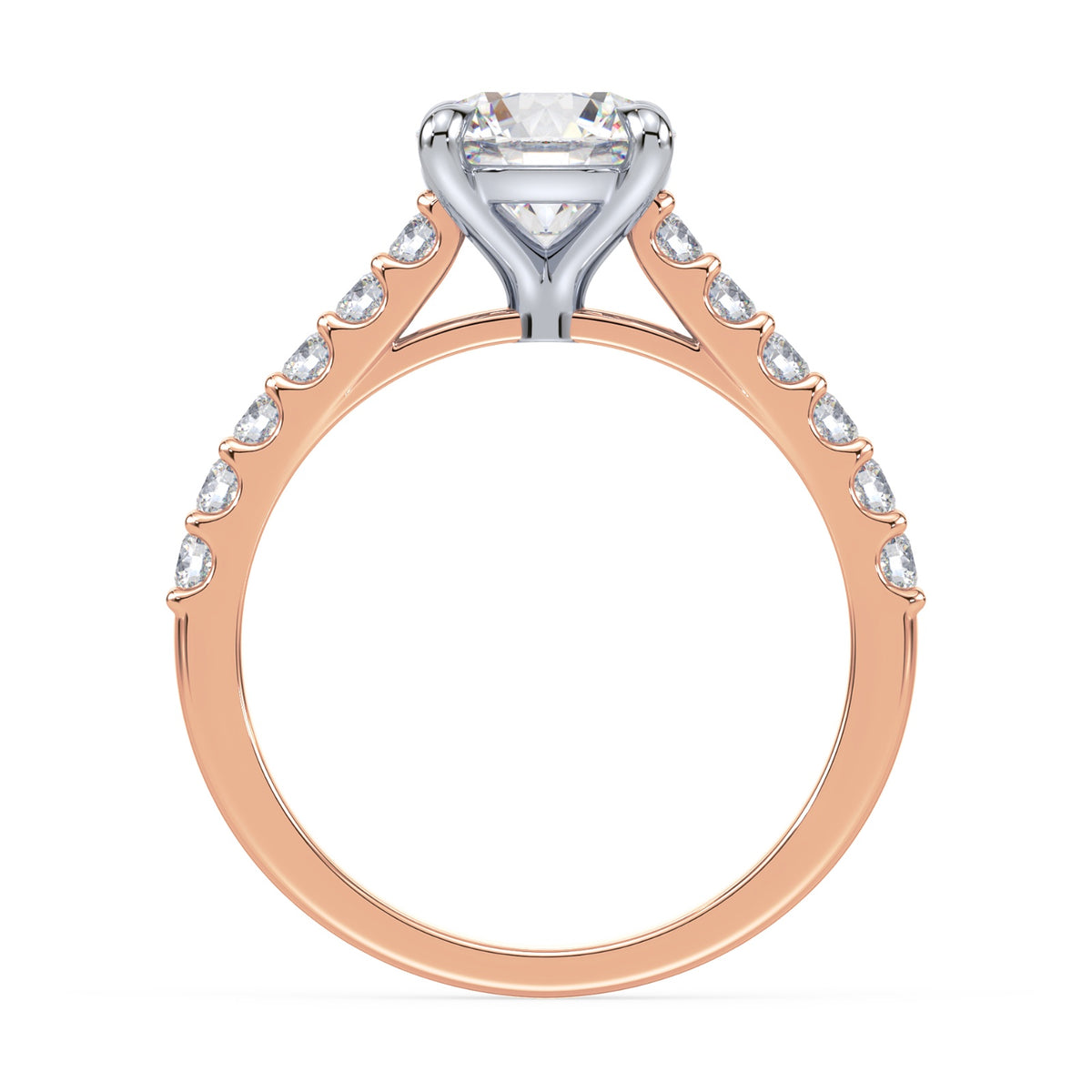 lm-preview|rosie-cathedral-pave-setting|tt-rose|round