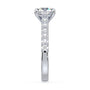 lm-preview|rosie-cathedral-pave-setting|white|round