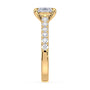 lm-preview|rosie-cathedral-pave-setting|yellow|oval