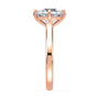 lm-preview|eleanor-half-moon-three-stone-setting|rose|round
