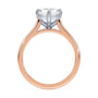 lm-preview|eleanor-half-moon-three-stone-setting|tt-rose|radiant