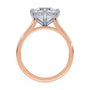 lm-preview|eleanor-half-moon-three-stone-setting|tt-rose|round
