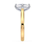 lm-preview|eleanor-half-moon-three-stone-setting|tt-yellow|elongated-cushion