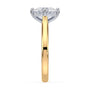 lm-preview|eleanor-half-moon-three-stone-setting|tt-yellow|oval