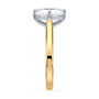 lm-preview|eleanor-half-moon-three-stone-setting|tt-yellow|radiant