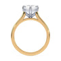 lm-preview|eleanor-half-moon-three-stone-setting|tt-yellow|radiant