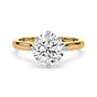 lm-preview|eleanor-half-moon-three-stone-setting|tt-yellow|round