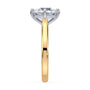 lm-preview|eleanor-half-moon-three-stone-setting|tt-yellow|round