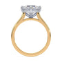 lm-preview|eleanor-half-moon-three-stone-setting|tt-yellow|round