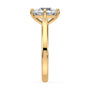 lm-preview|eleanor-half-moon-three-stone-setting|yellow|round