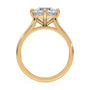 lm-preview|eleanor-half-moon-three-stone-setting|yellow|round