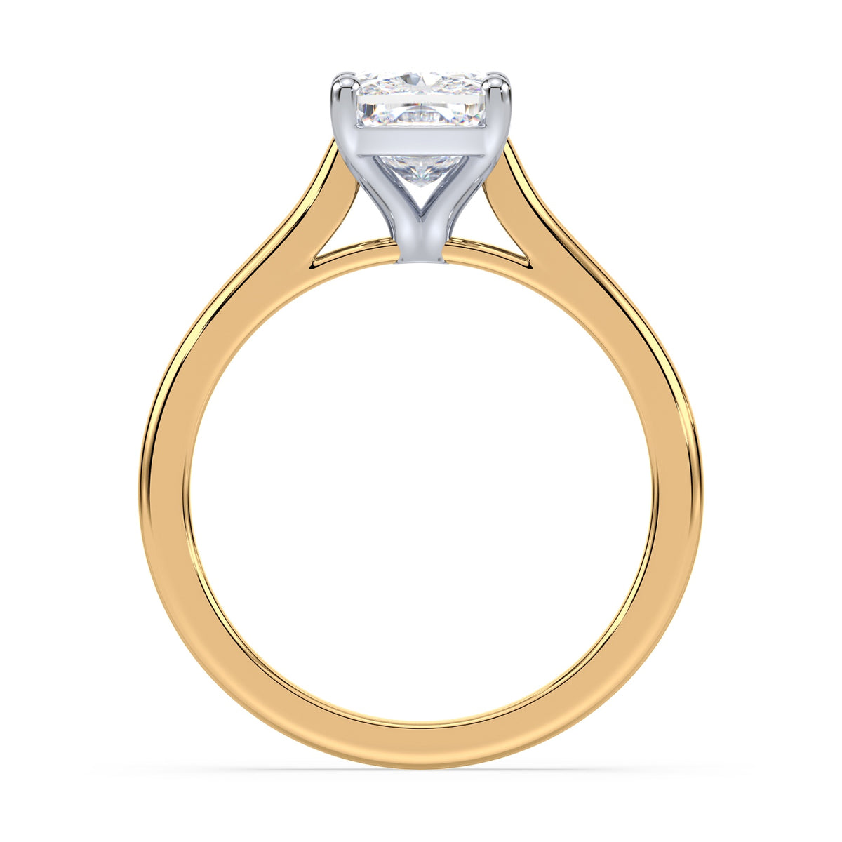 Ryan Cathedral Solitaire Setting