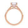 lm-preview|ryan-hidden-halo-cathedral-solitaire-setting|rose|emerald
