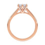 lm-preview|ryan-hidden-halo-cathedral-solitaire-setting|rose|marquise