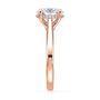 lm-preview|ryan-hidden-halo-cathedral-solitaire-setting|rose|oval