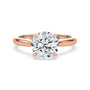 lm-preview|ryan-hidden-halo-cathedral-solitaire-setting|rose|round
