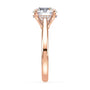 lm-preview|ryan-hidden-halo-cathedral-solitaire-setting|rose|round