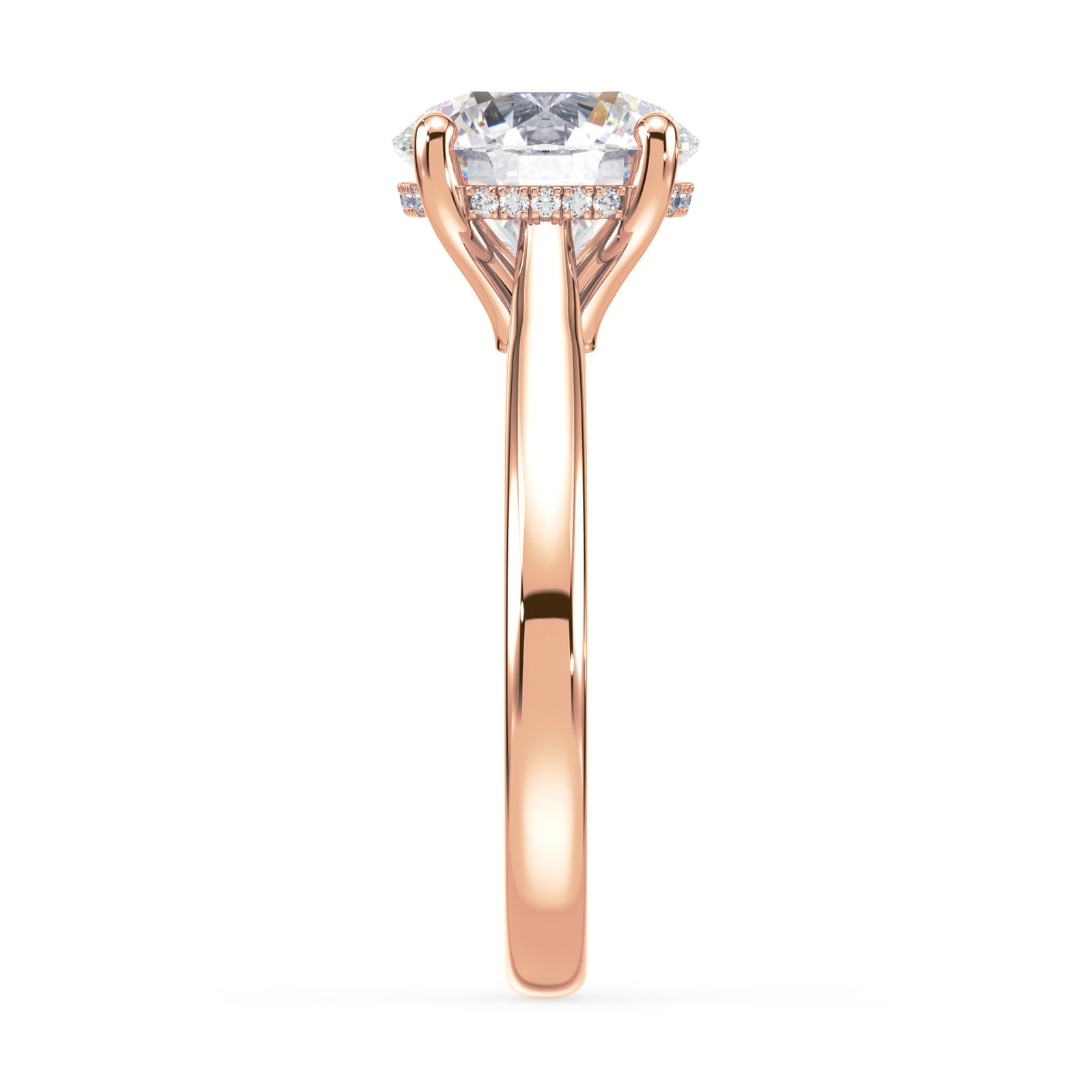 lm-preview|ryan-hidden-halo-cathedral-solitaire-setting|rose|round