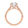 lm-preview|ryan-hidden-halo-cathedral-solitaire-setting|rose|round