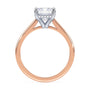 lm-preview|ryan-hidden-halo-cathedral-solitaire-setting|tt-rose|emerald