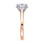 lm-preview|ryan-hidden-halo-cathedral-solitaire-setting|tt-rose|oval