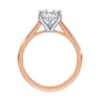 lm-preview|ryan-hidden-halo-cathedral-solitaire-setting|tt-rose|pear