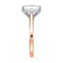 lm-preview|ryan-hidden-halo-cathedral-solitaire-setting|tt-rose|radiant